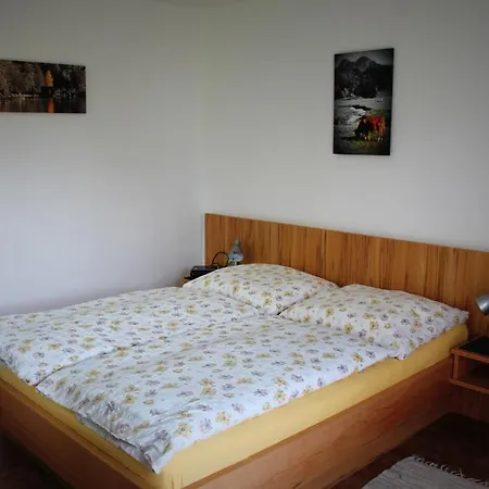 Pension Winter Zell am Moos Exterior photo